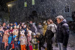 027 Pozdrav zimi inpraznik luci Foto atelje Postojna